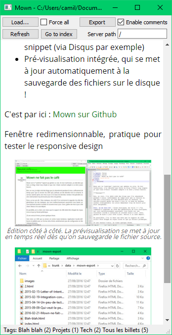 Fenêtre redimensionnable, pratique pour tester le responsive design !